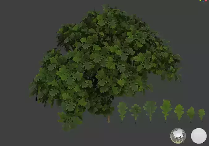 Oak leaf 3D models 3D model