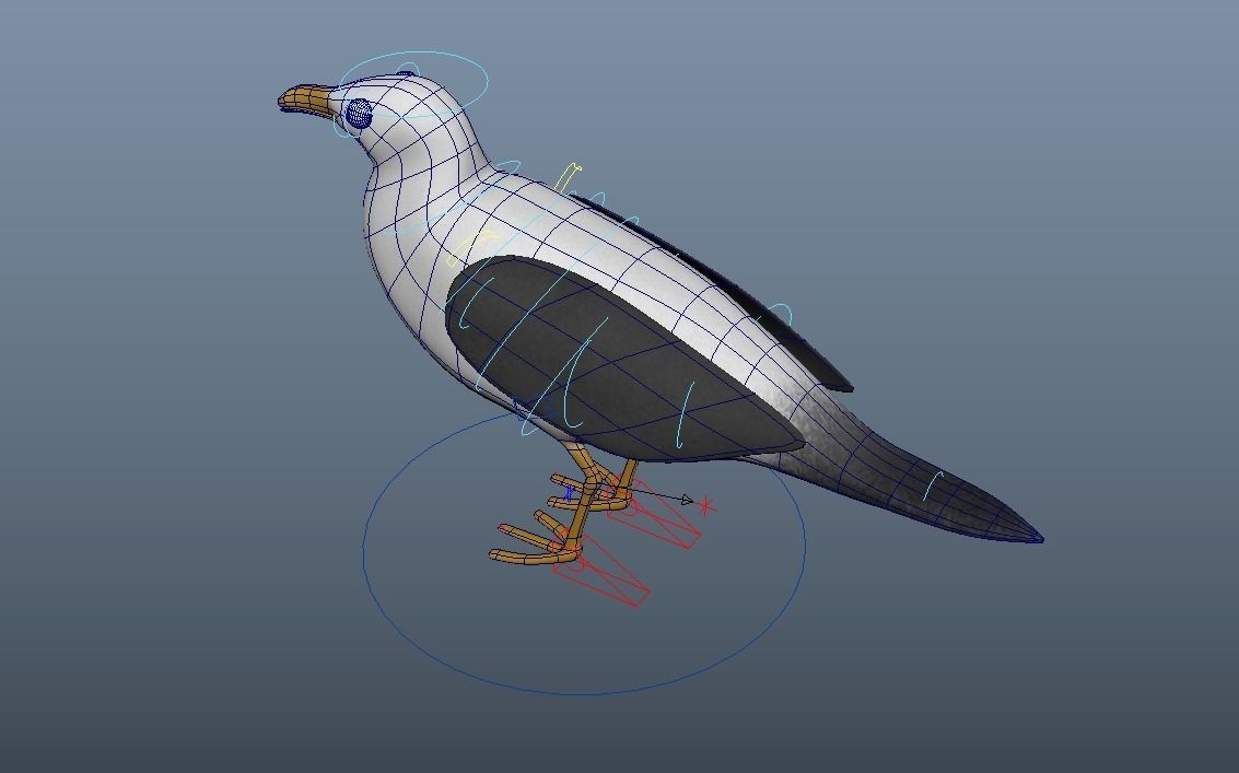 Cartoon Seagull - Rigged Low-poly 3D model_10