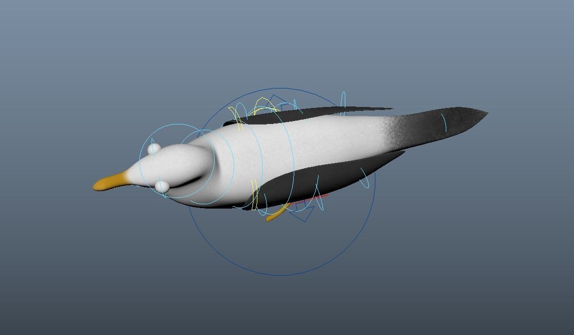 Cartoon Seagull - Rigged Low-poly 3D model_7