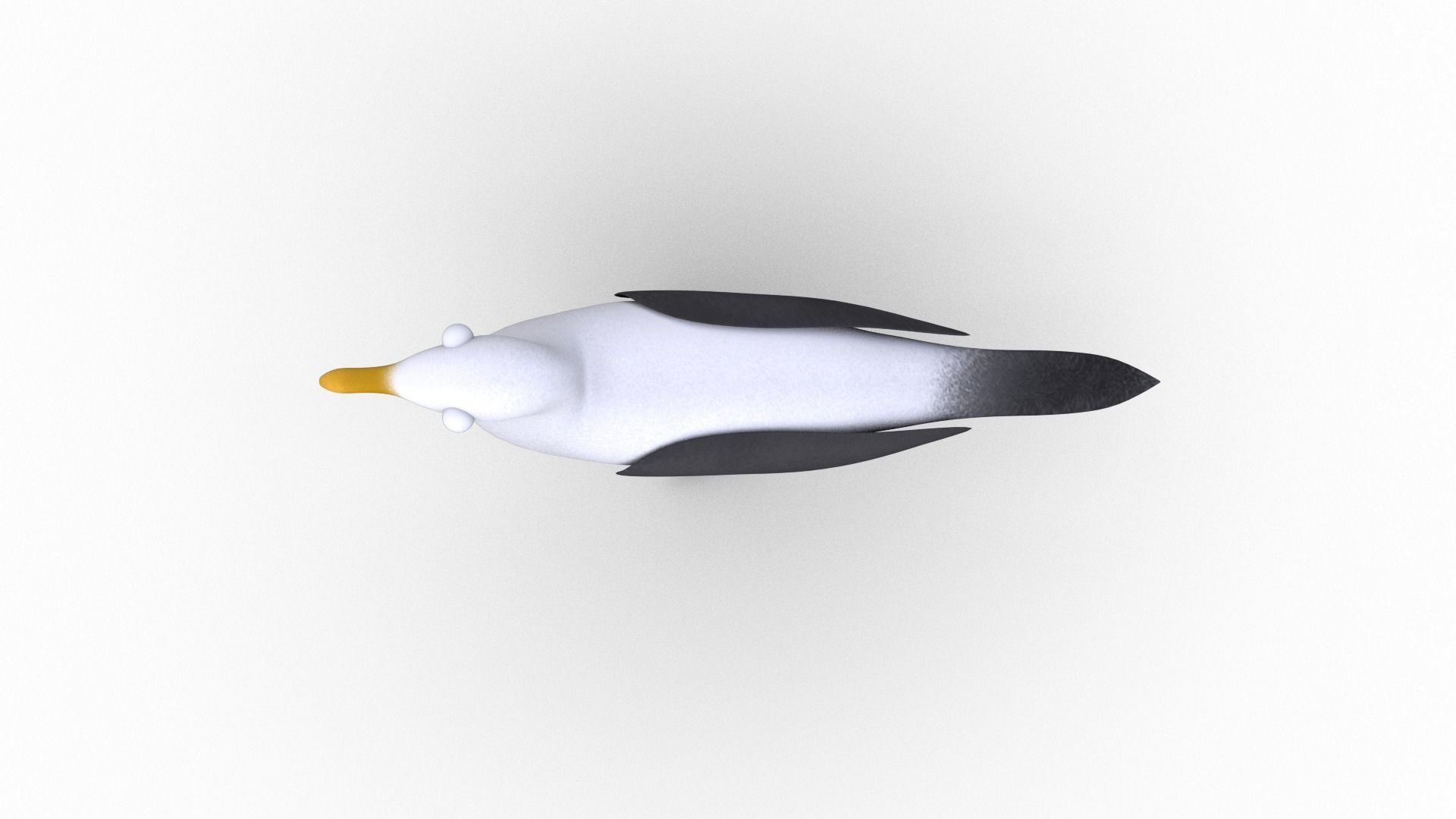 Cartoon Seagull - Rigged Low-poly 3D model_4