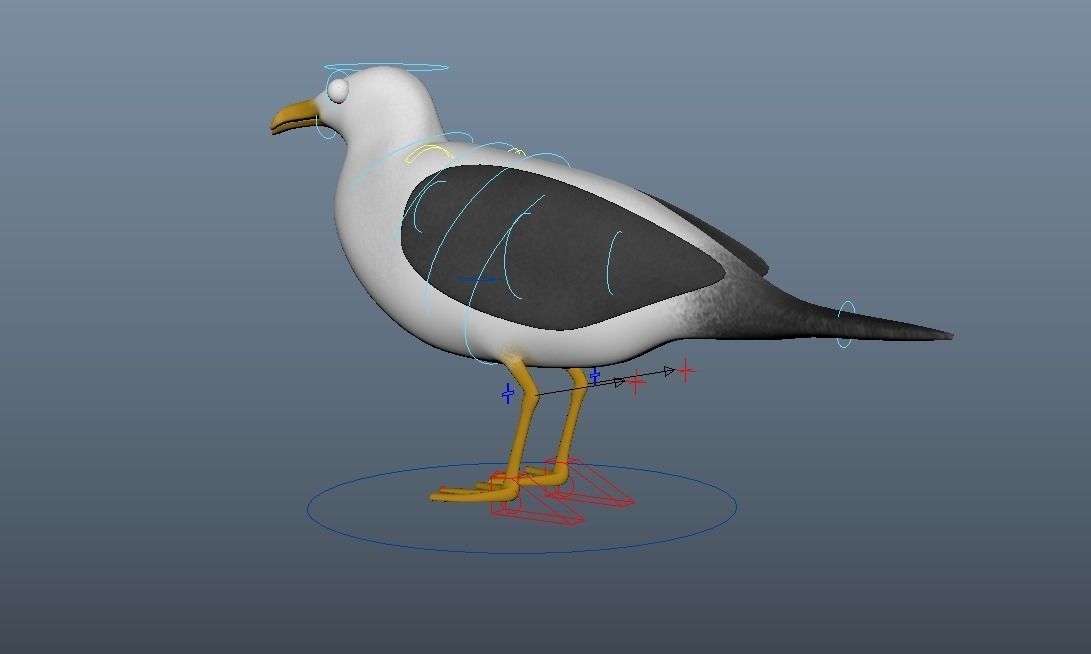 Cartoon Seagull - Rigged Low-poly 3D model_6