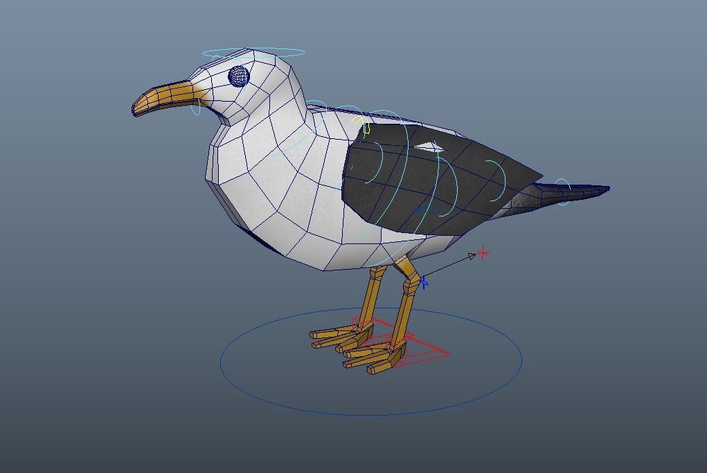 Cartoon Seagull - Rigged Low-poly 3D model_12