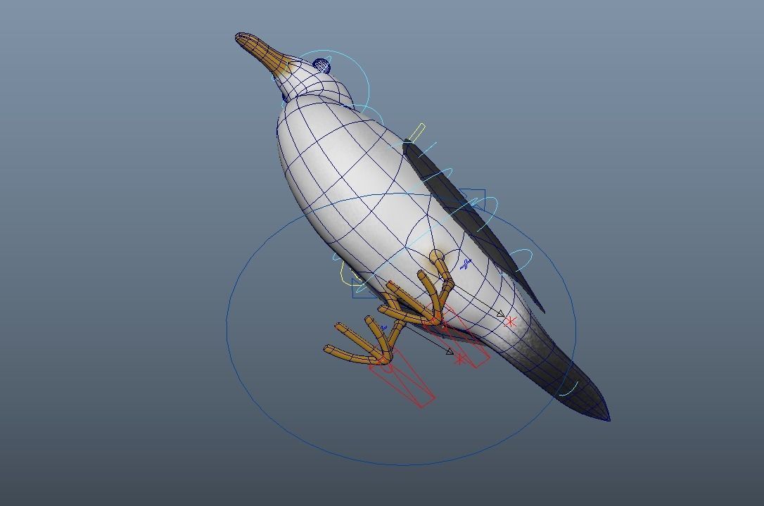 Cartoon Seagull - Rigged Low-poly 3D model_11