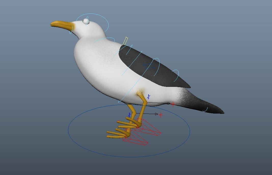 Cartoon Seagull - Rigged Low-poly 3D model_8
