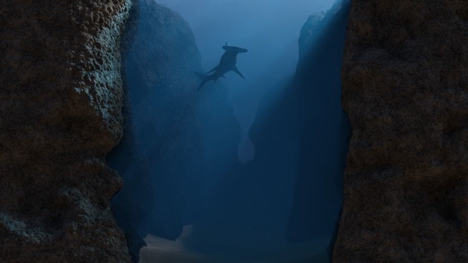 Ocean Trench Environment 3D model_3