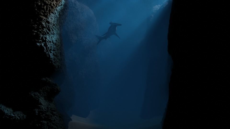 Ocean Trench Environment 3D model_6