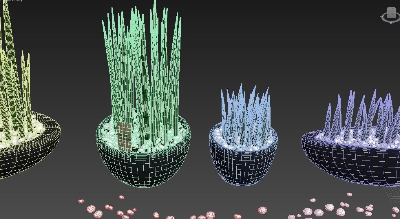 Set of Sansevieria cylindrica 3D model_10