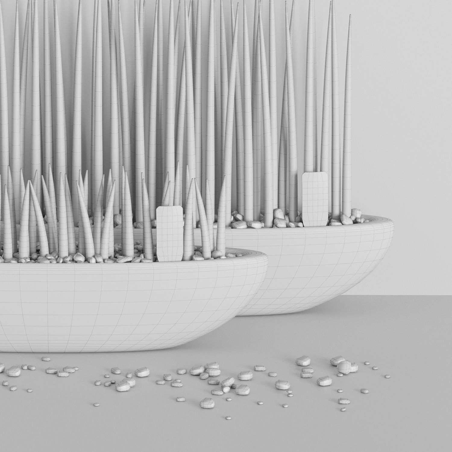 Set of Sansevieria cylindrica 3D model_7