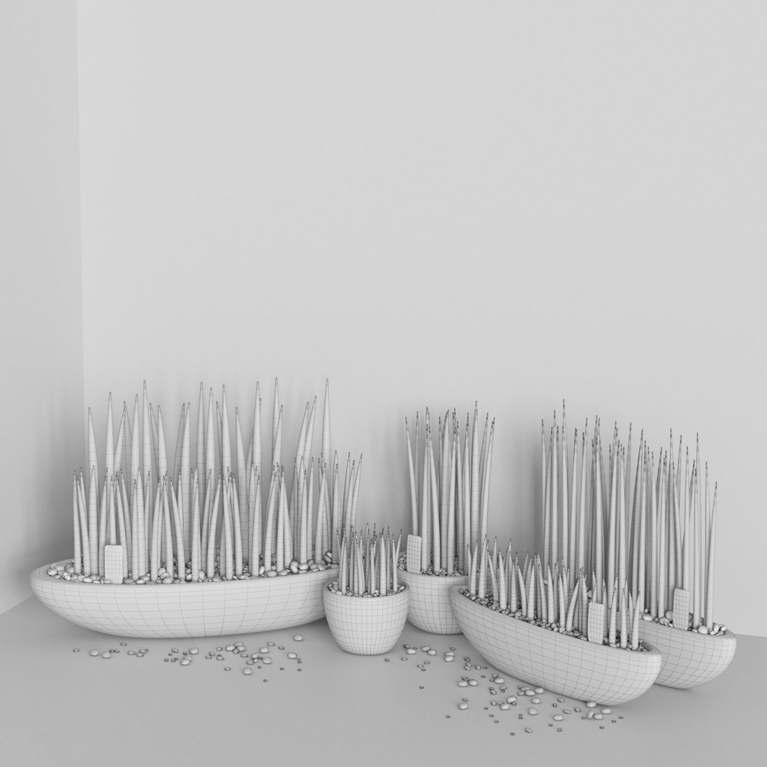 Set of Sansevieria cylindrica 3D model_6