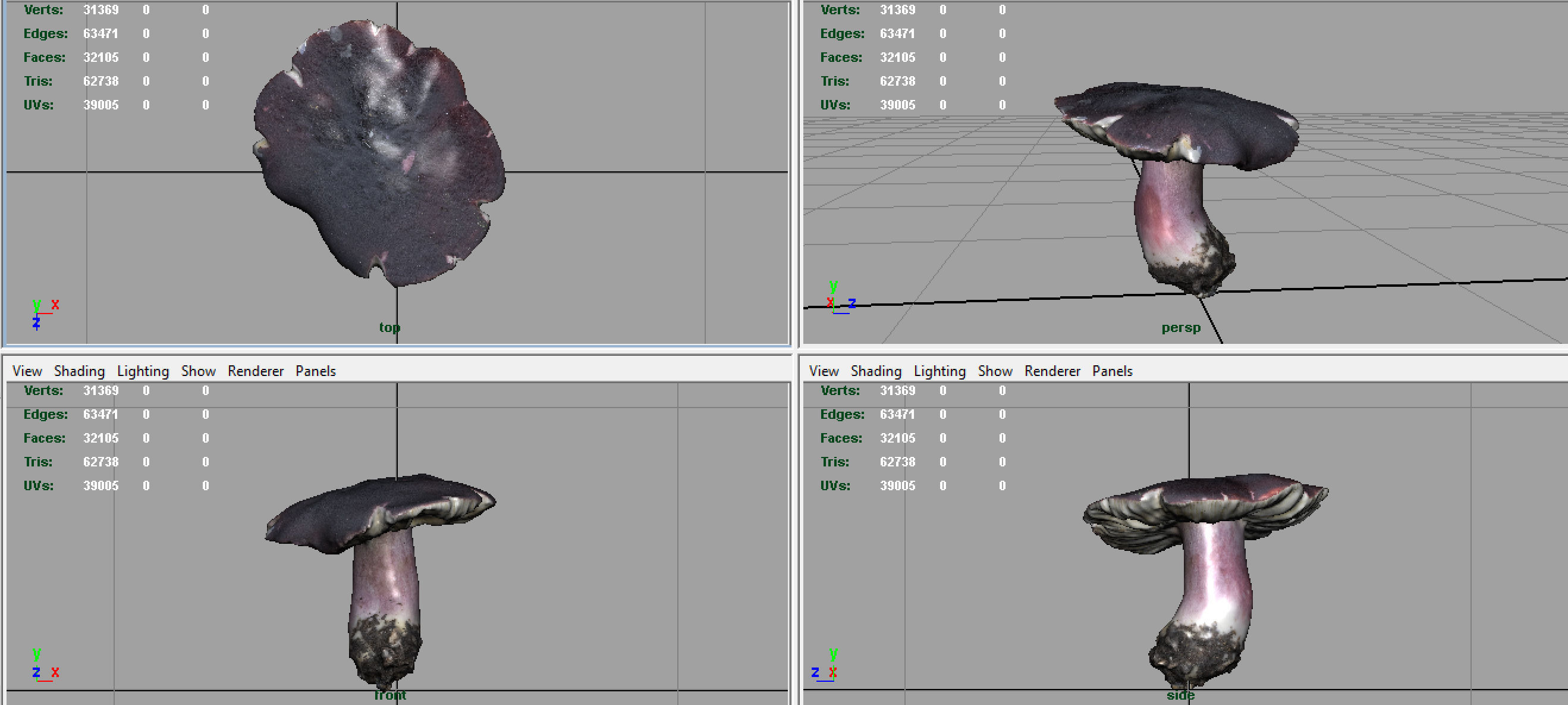 MUSHROOM RUSSULA Low-poly 3D model_6