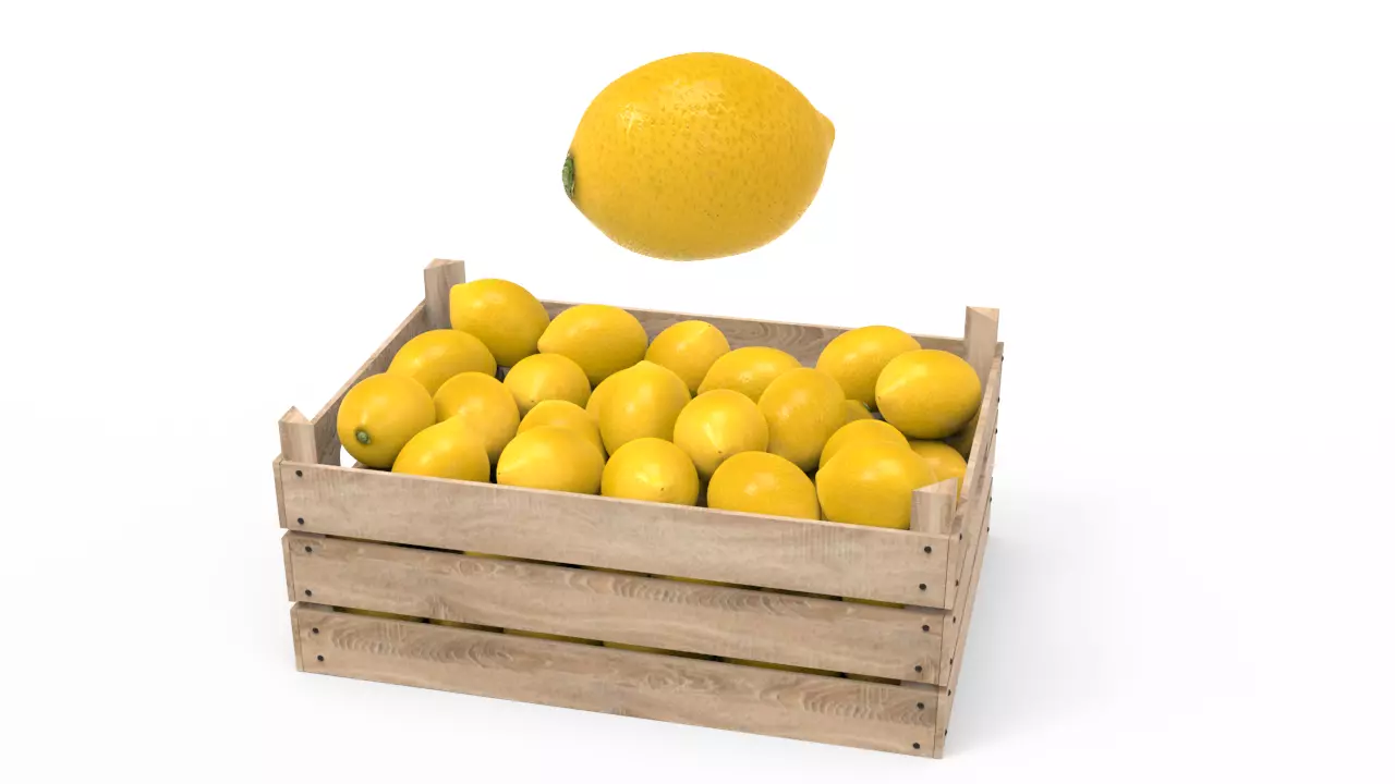 Lemon Box 3D model_0