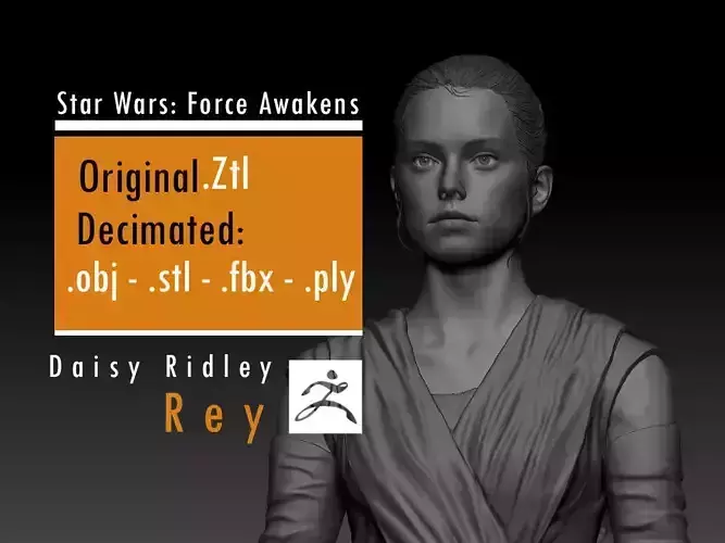 Daisy Ridley - Rey - Star Wars 3D print model
