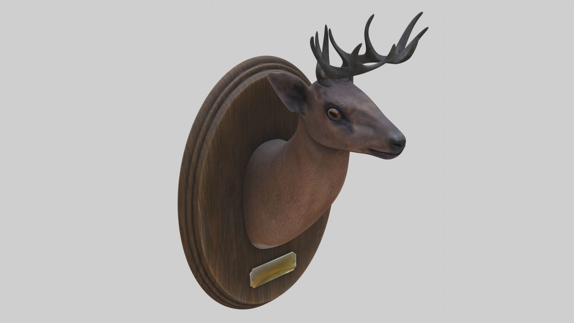3D model Taxidermied Deer Head Mount And Bear Rug With PBR Materials VR ...