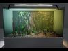 Aquariums Customizable Low-poly 3D model_1