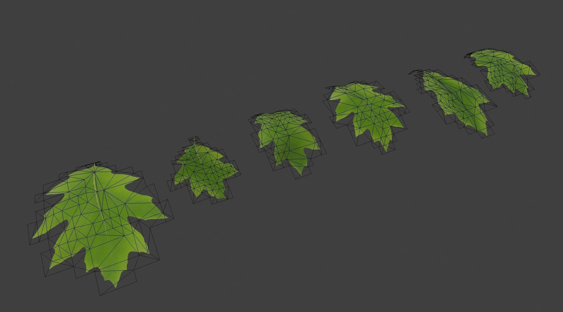 Oak 2 leaf 3D models 3D model_2