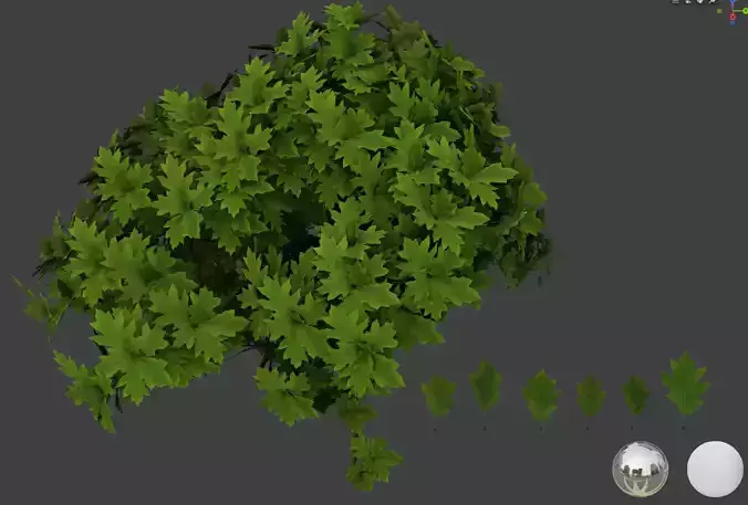 Oak 2 leaf 3D models