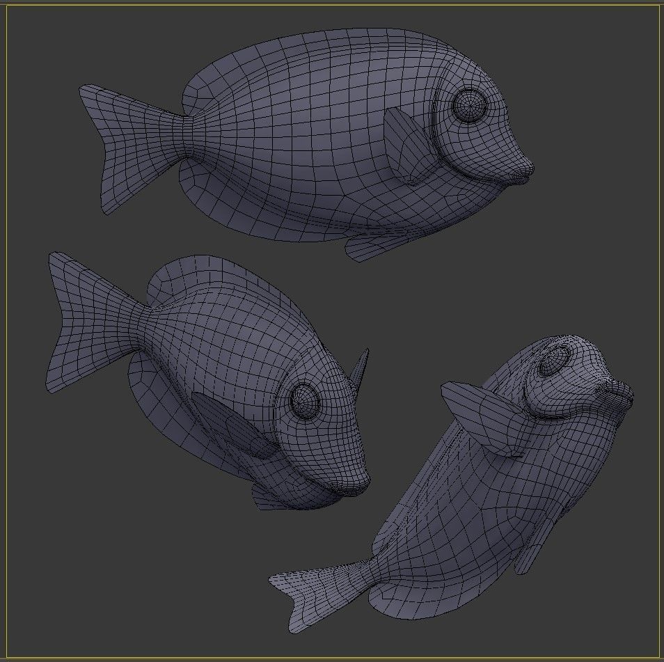 Acanthurus Leucosternon Low-poly 3D model_8