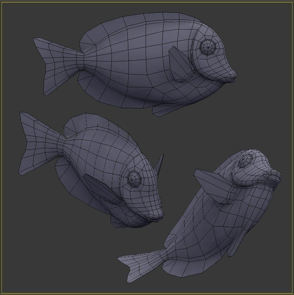 Acanthurus Leucosternon Low-poly 3D model_7