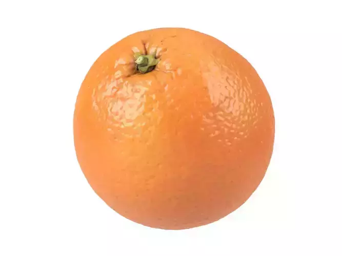 Photorealistic Orange 3D Scan 2