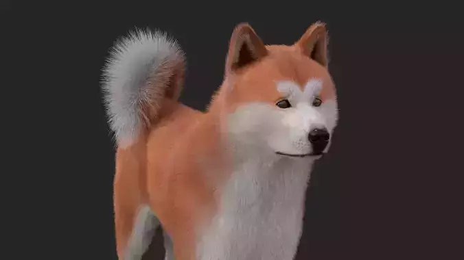 Realistic Akita Inu Hachiko 3D model