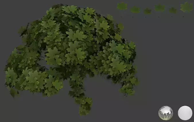 Maple leaf 3D models