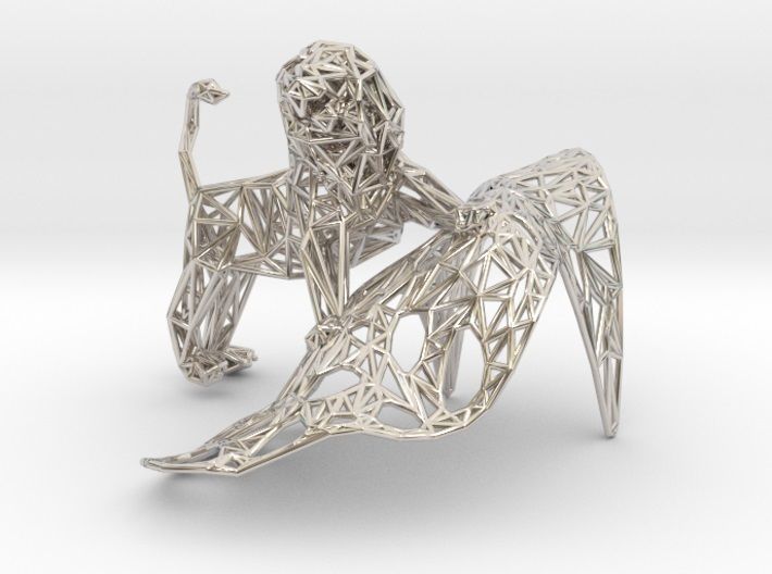 Lion -King of the jungle 3D print model_34