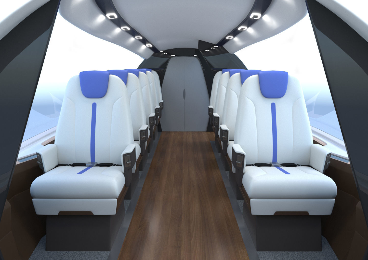Electric Aircraft Alice Eviation Panoramic with Interior  3D model_2