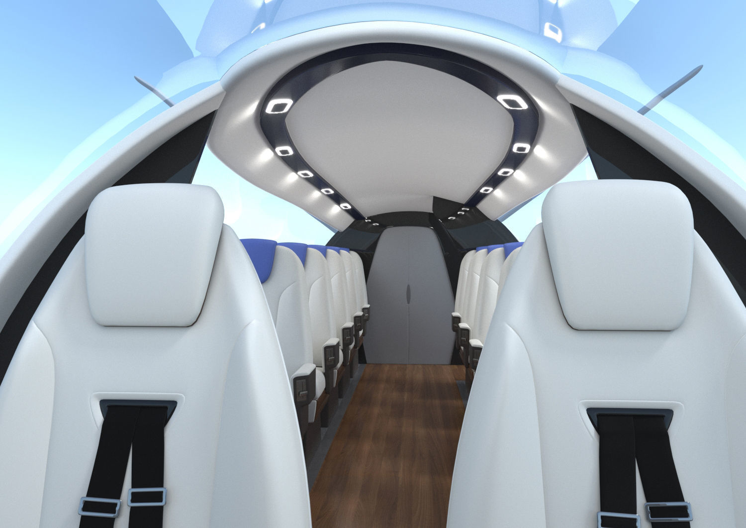 Electric Aircraft Alice Eviation Panoramic with Interior  3D model_1