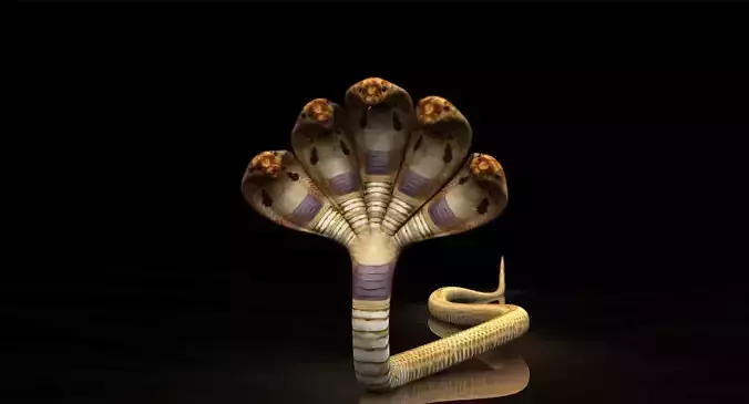 five head snake rigged model 3D model