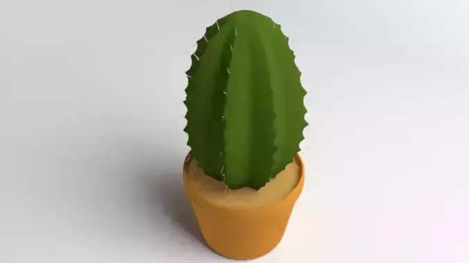 Cactus Plant 1