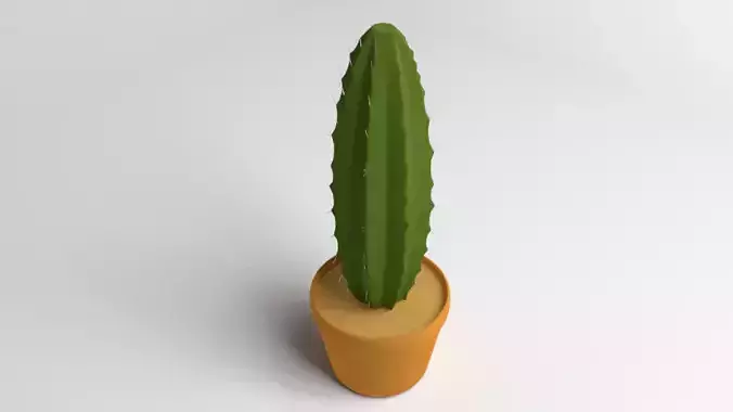 Cactus Plant 2