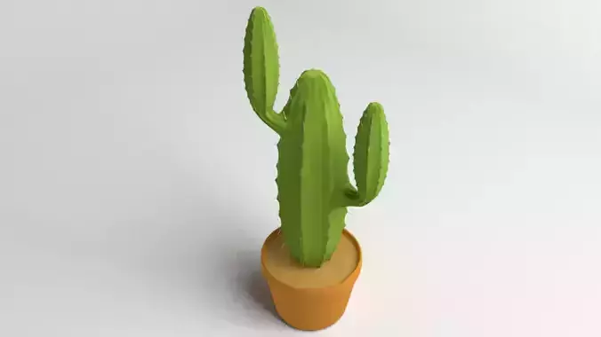 Cactus Plant 4