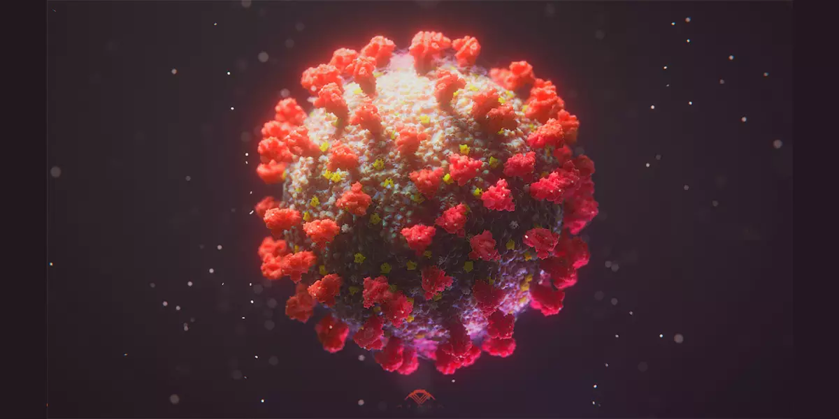 Covid-19 Sars-Cov-2 3D model_0