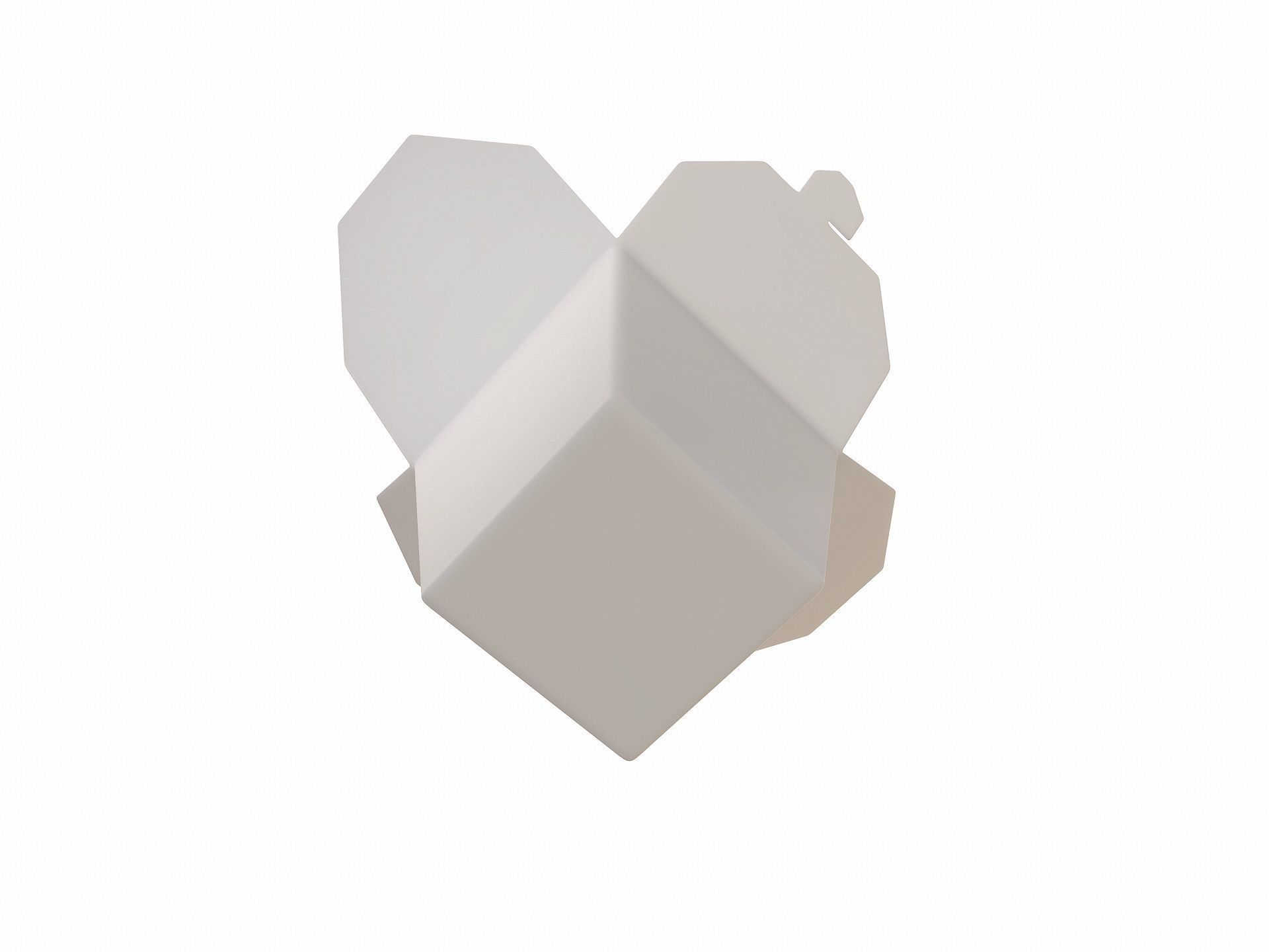 Noodle Box 3D model_4