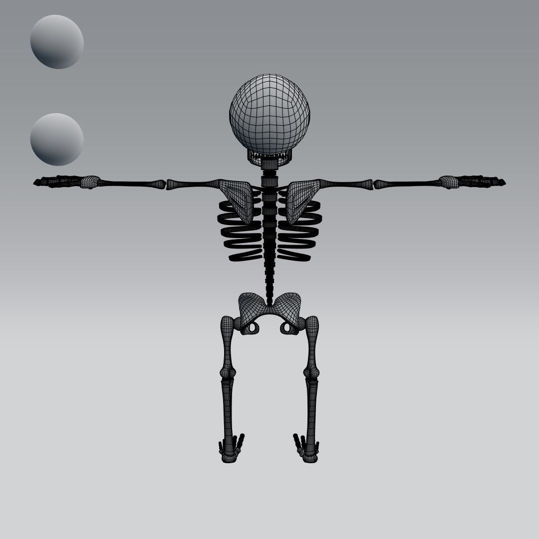 cartoon skeleton 3D model_11