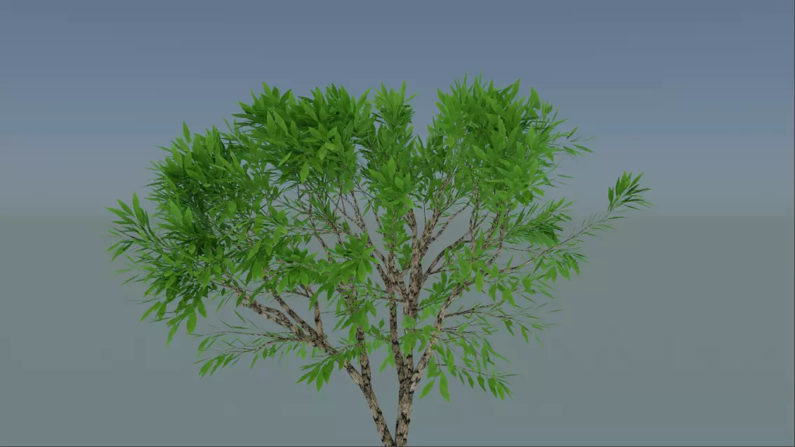 tree2 tree with leaves Free 3D model_0