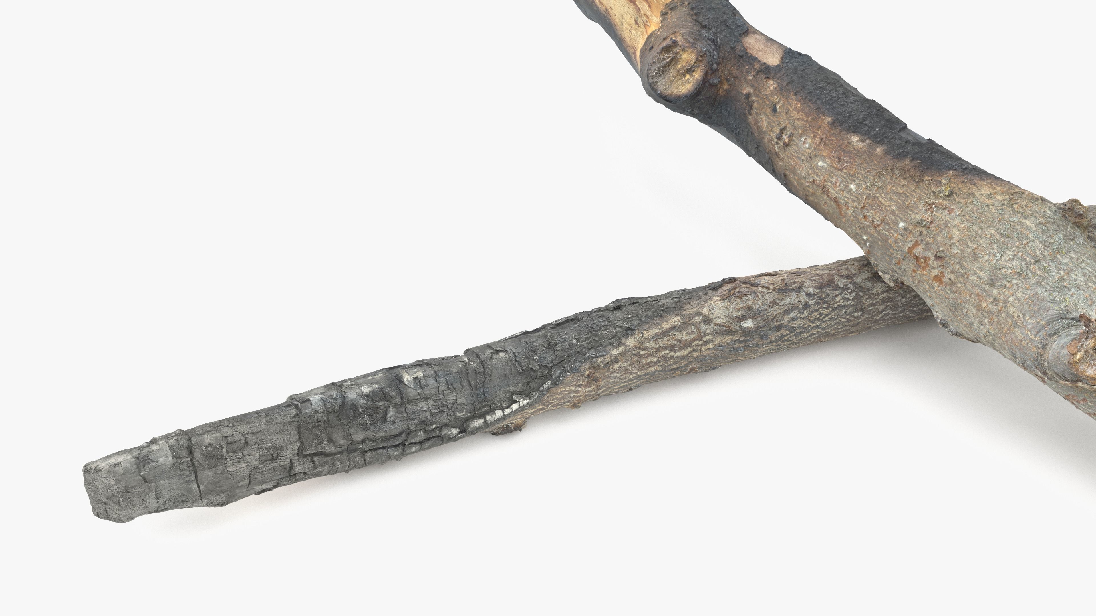 Burned Broken Branches Low-poly 3D model_13