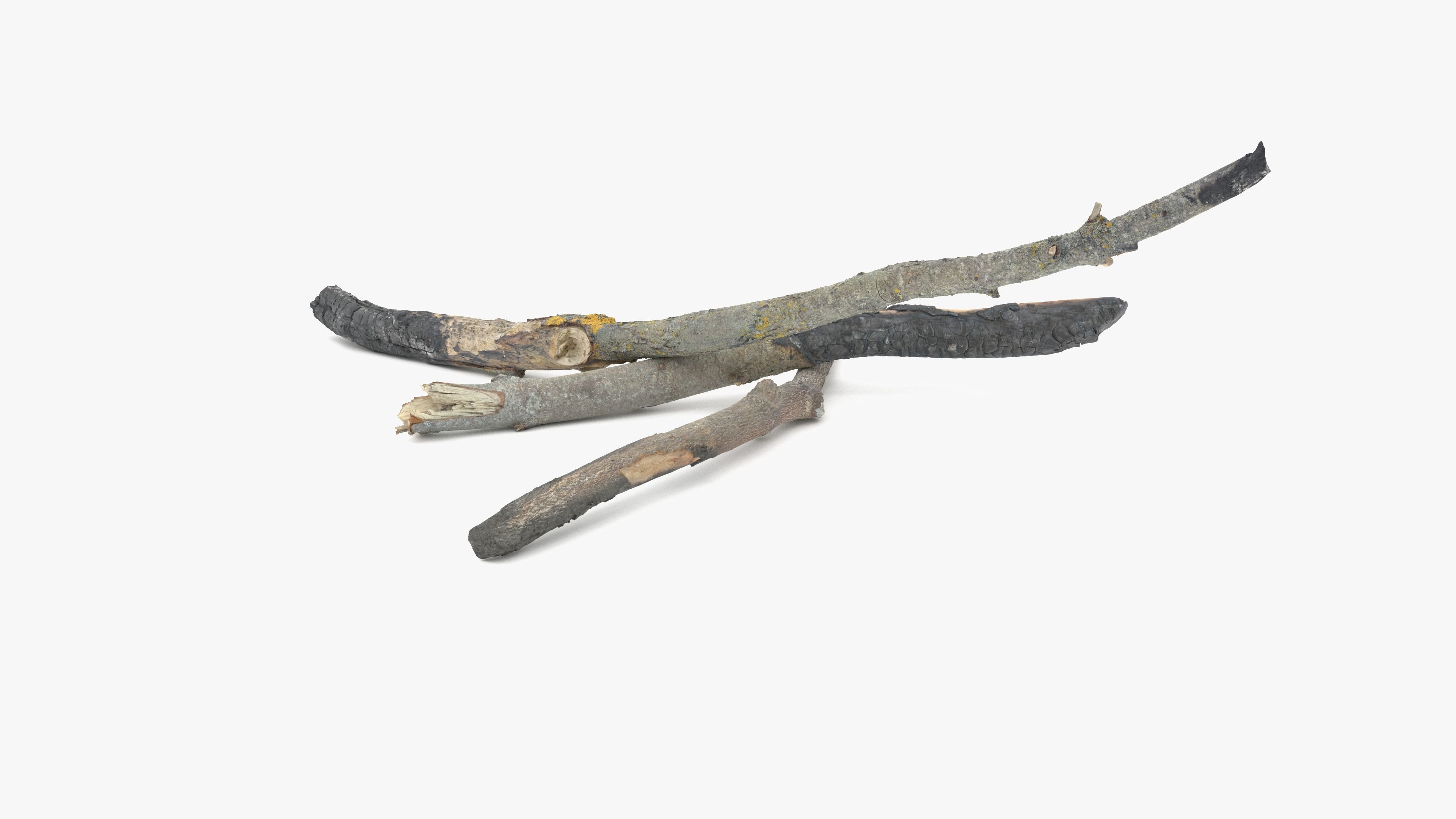 Burned Broken Branches Low-poly 3D model_28