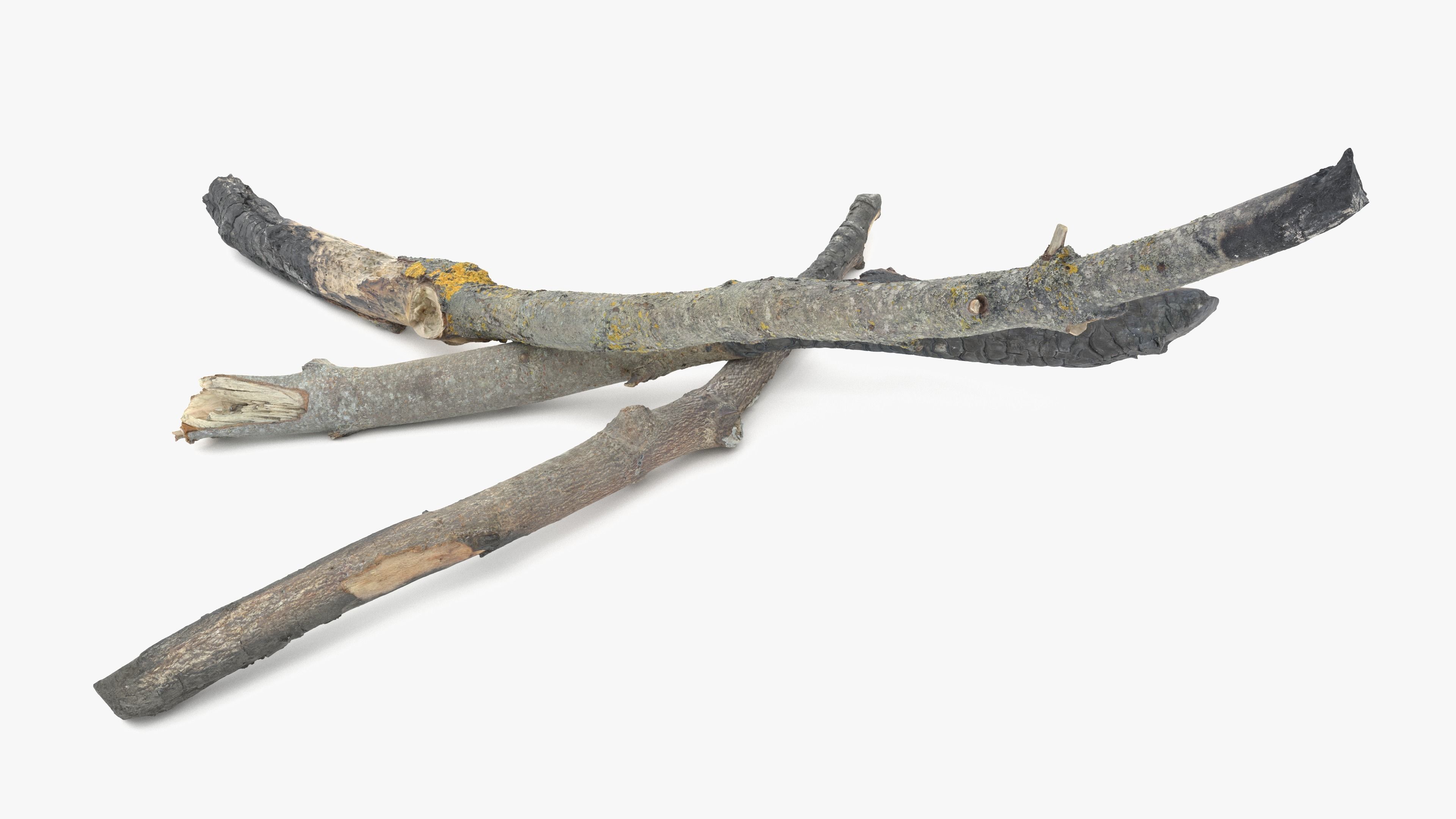 Burned Broken Branches Low-poly 3D model_20