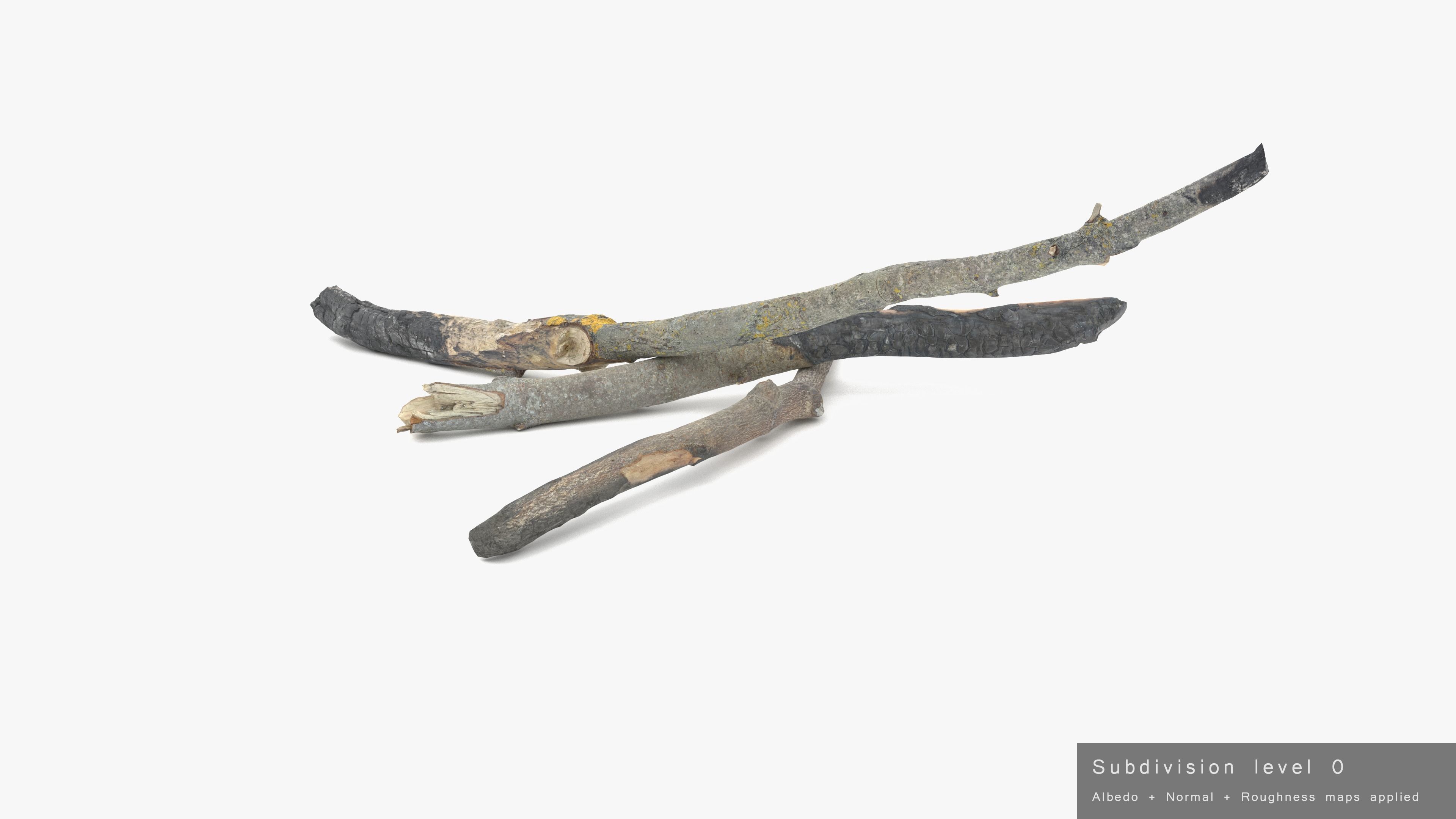 Burned Broken Branches Low-poly 3D model_35
