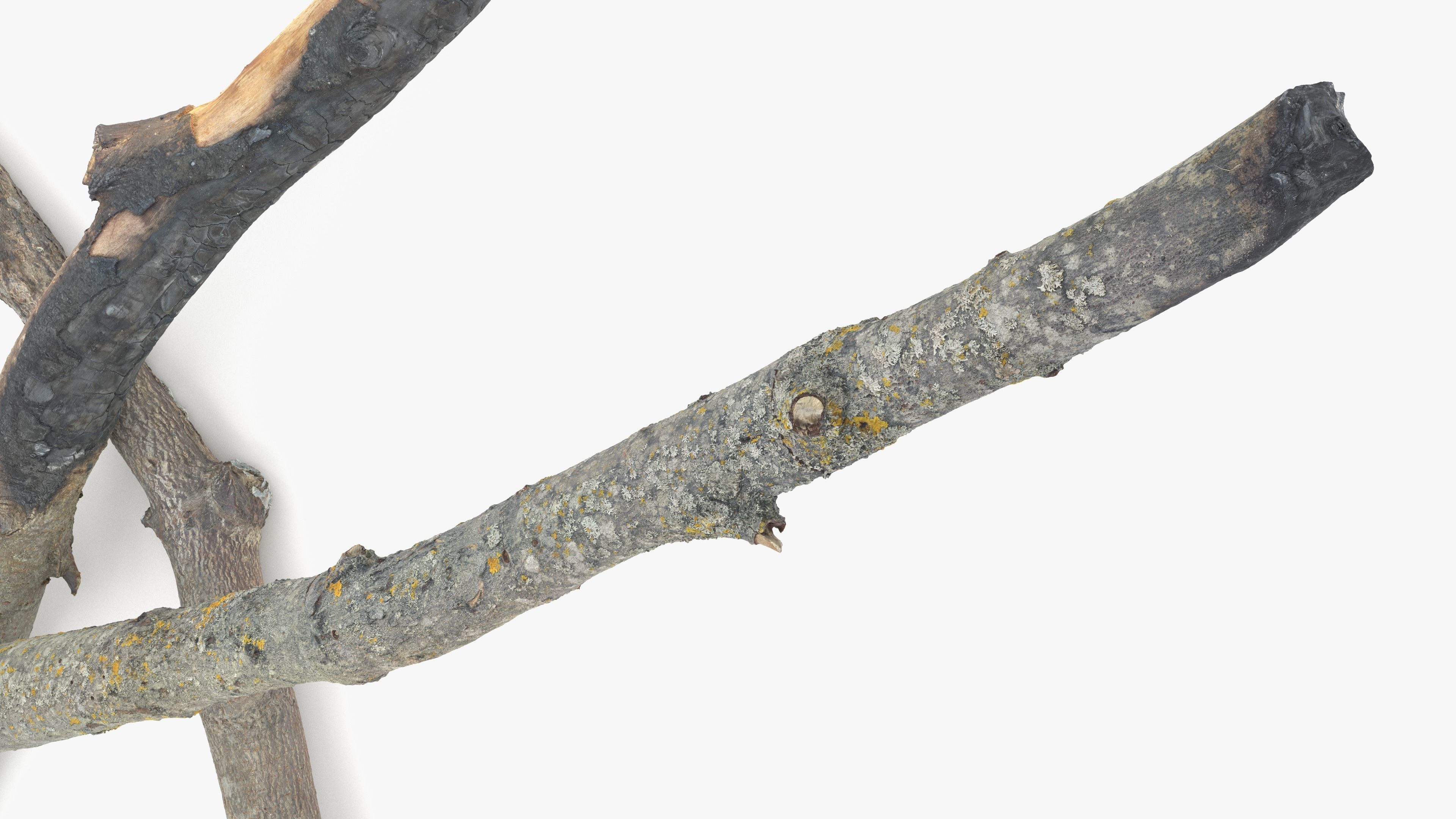Burned Broken Branches Low-poly 3D model_7