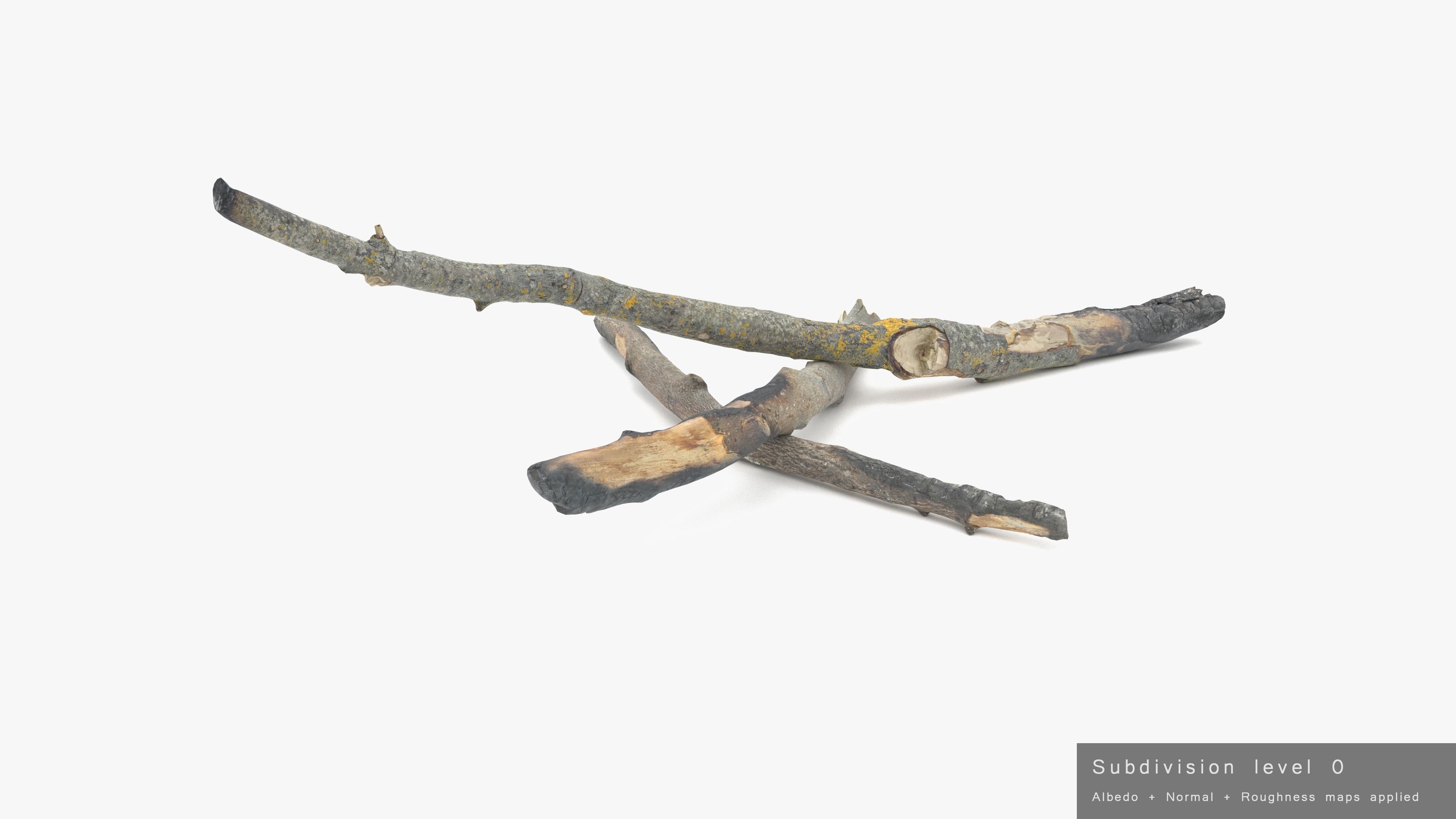 Burned Broken Branches Low-poly 3D model_33