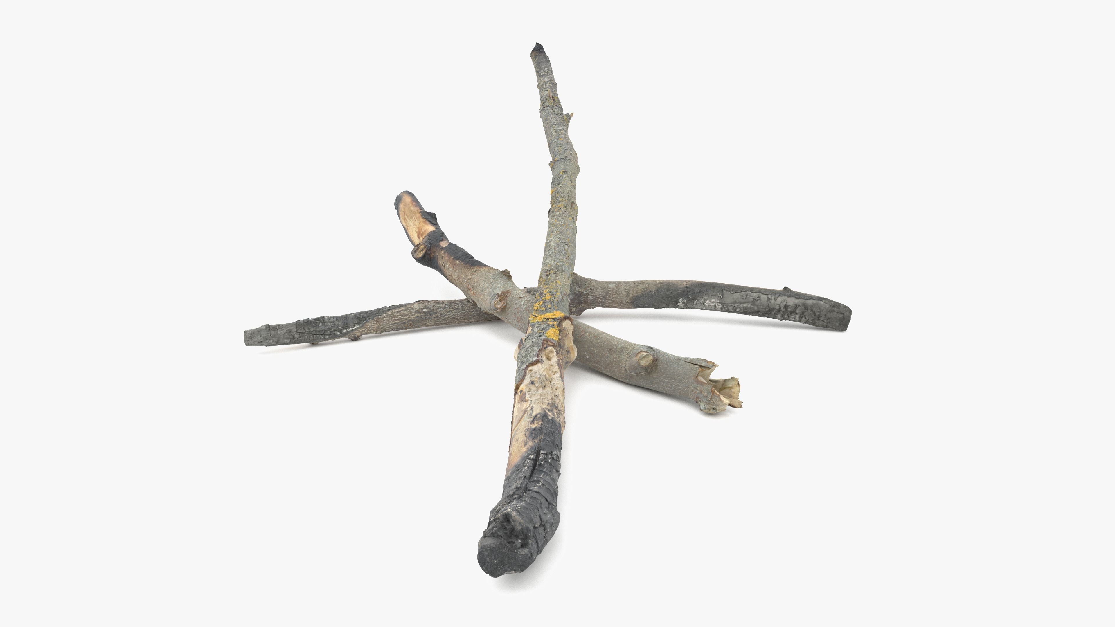 Burned Broken Branches Low-poly 3D model_24