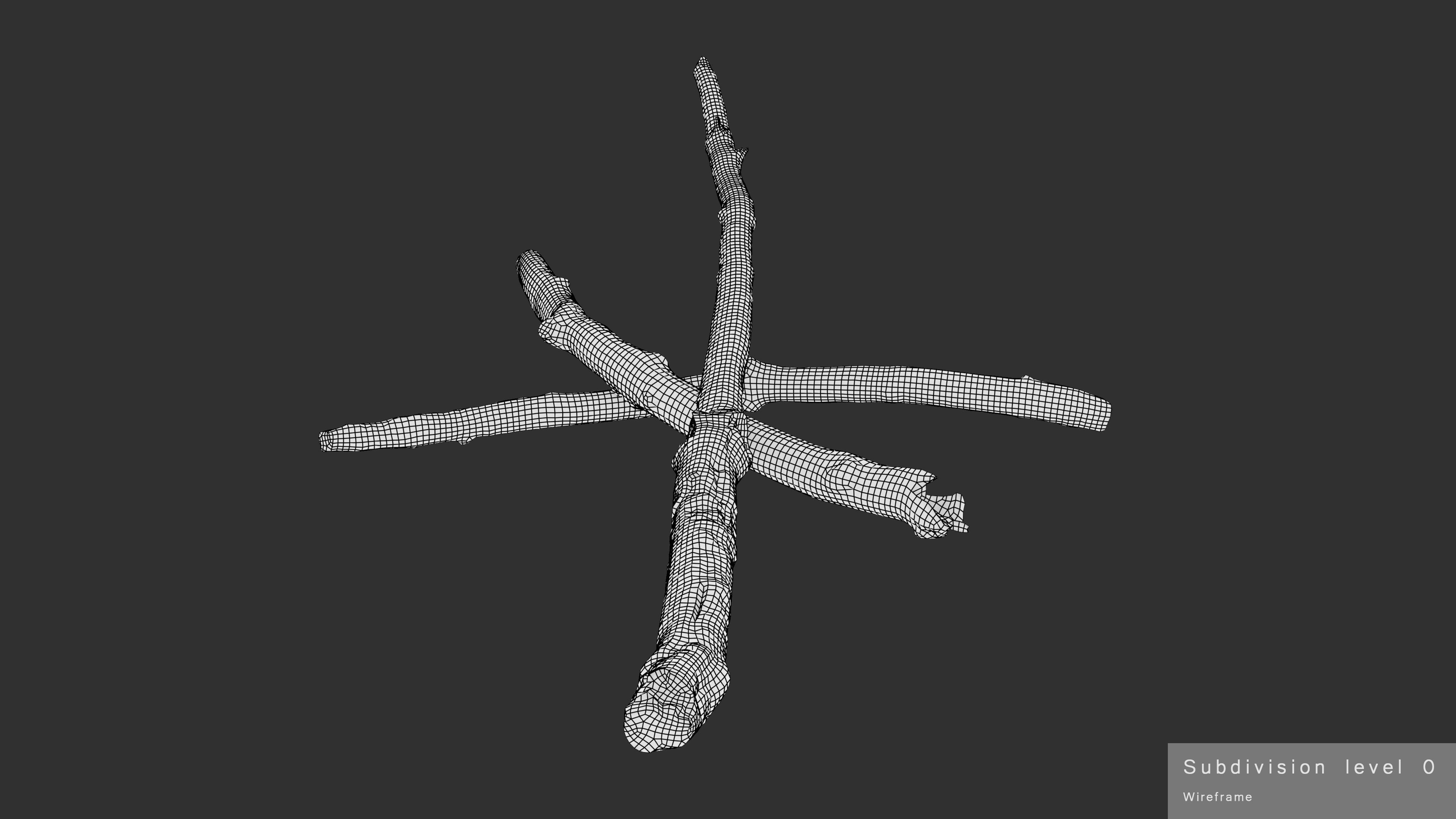 Burned Broken Branches Low-poly 3D model_37