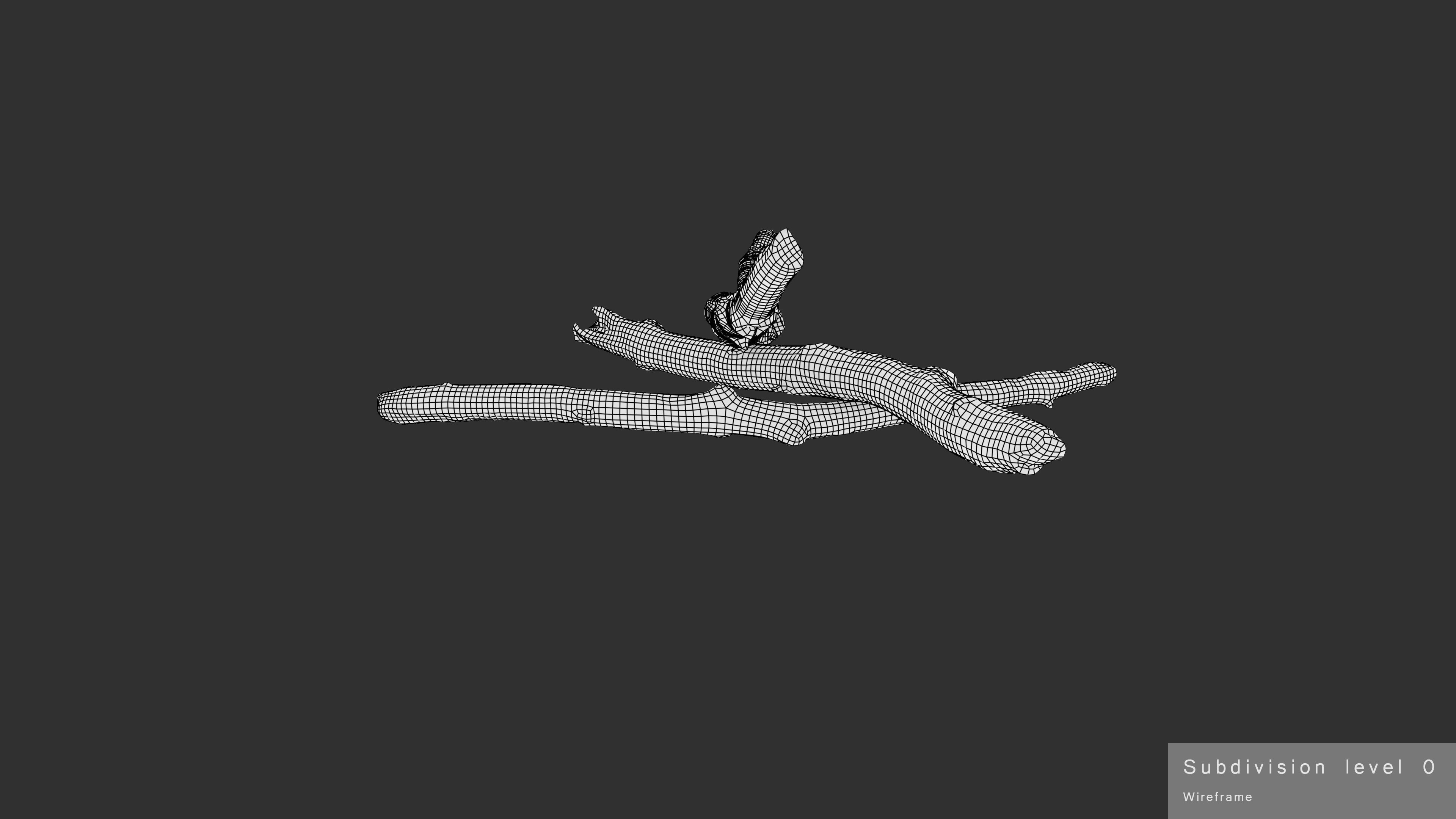 Burned Broken Branches Low-poly 3D model_40