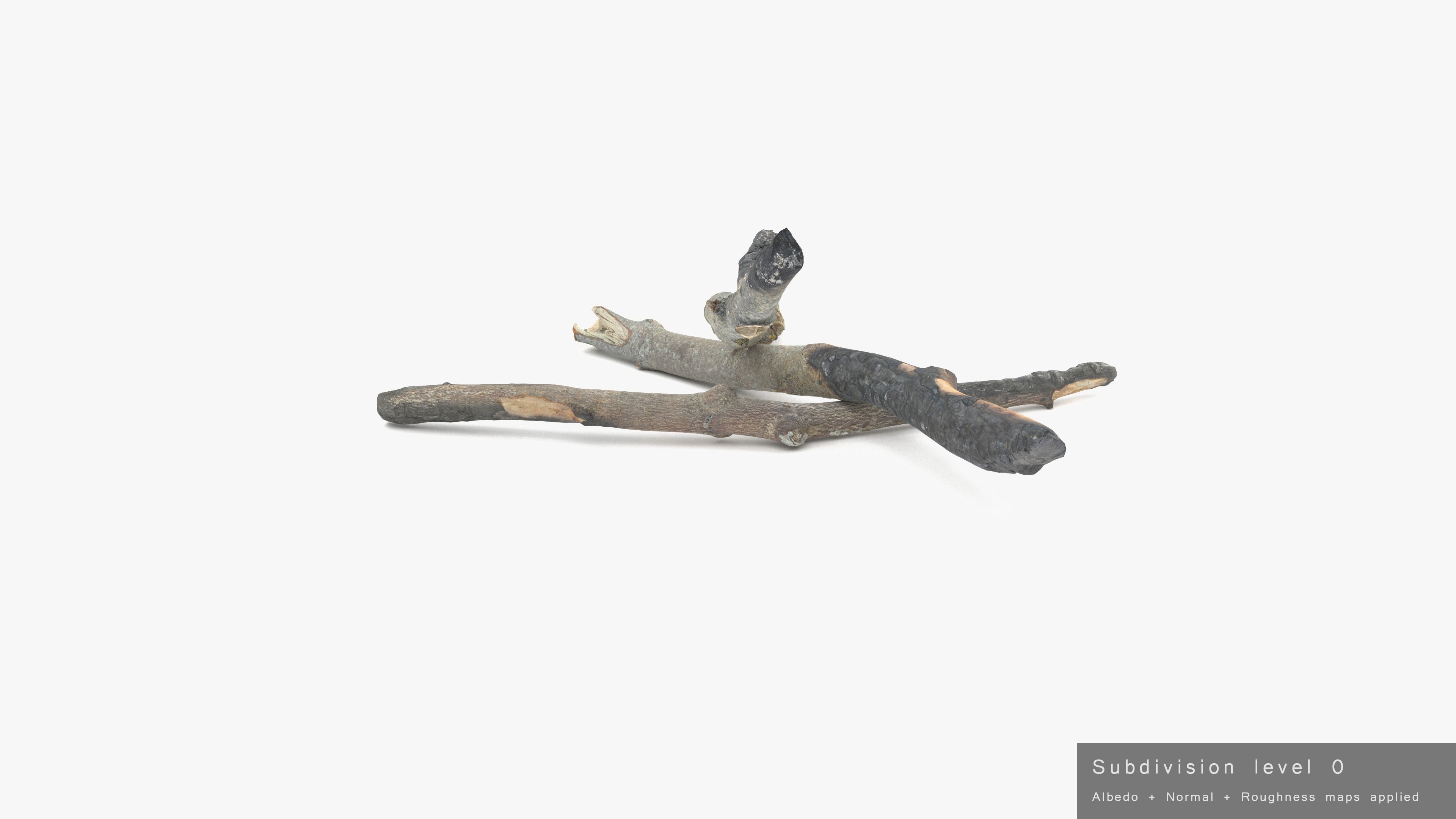 Burned Broken Branches Low-poly 3D model_34