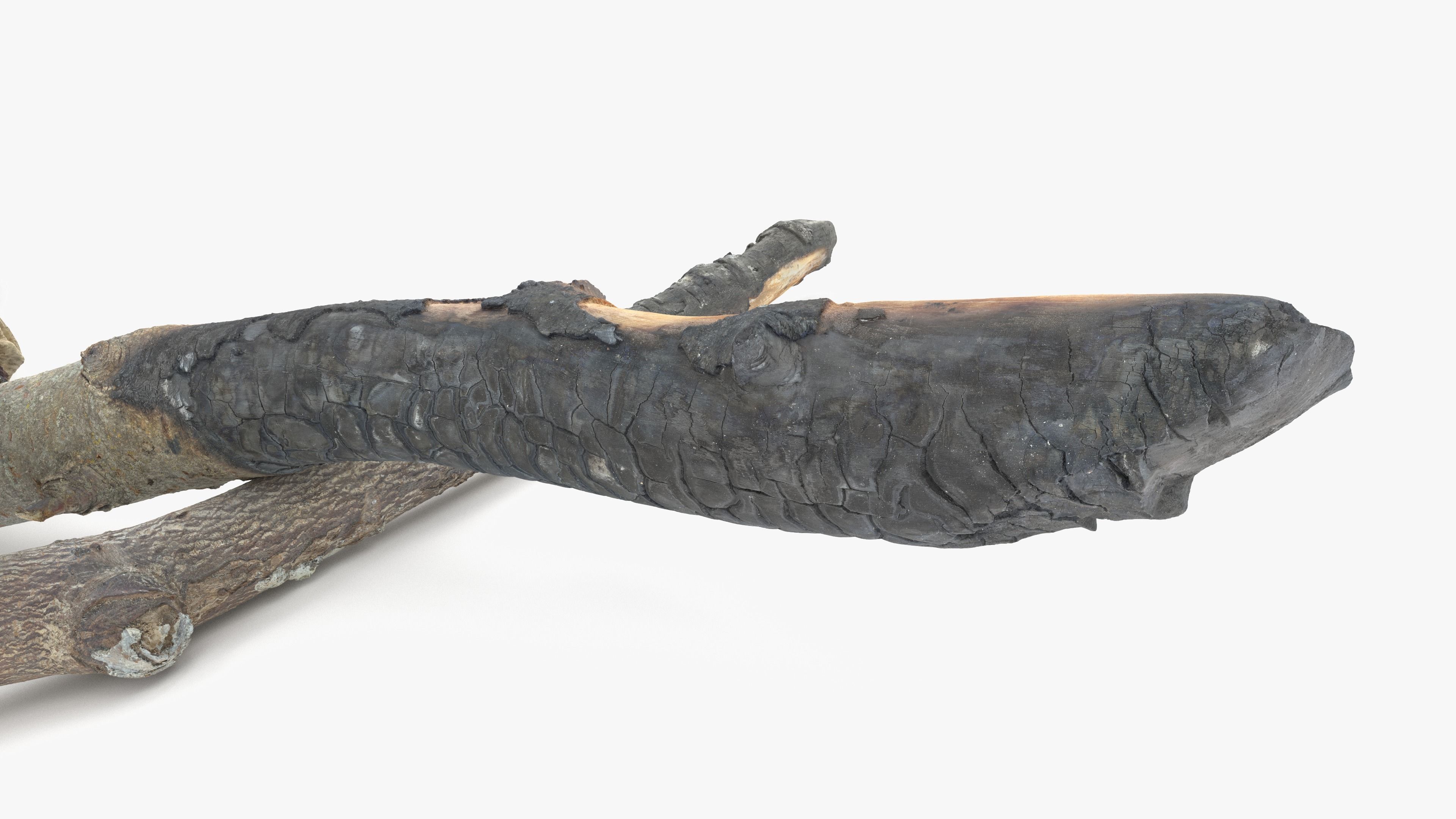 Burned Broken Branches Low-poly 3D model_9