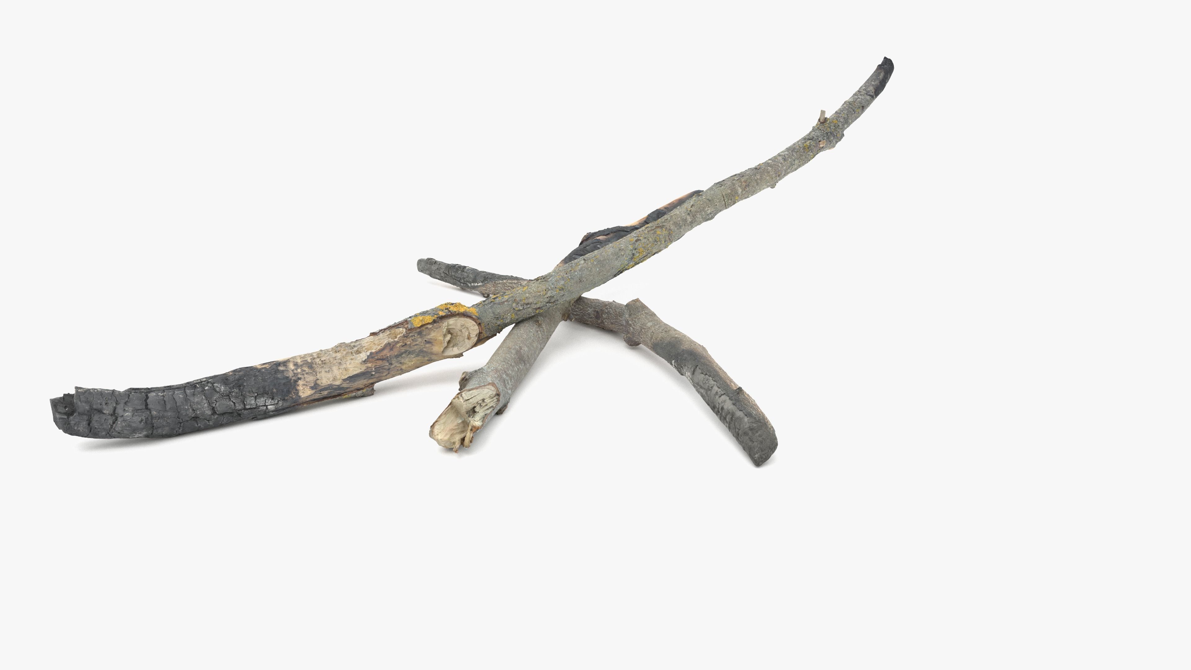 Burned Broken Branches Low-poly 3D model_23