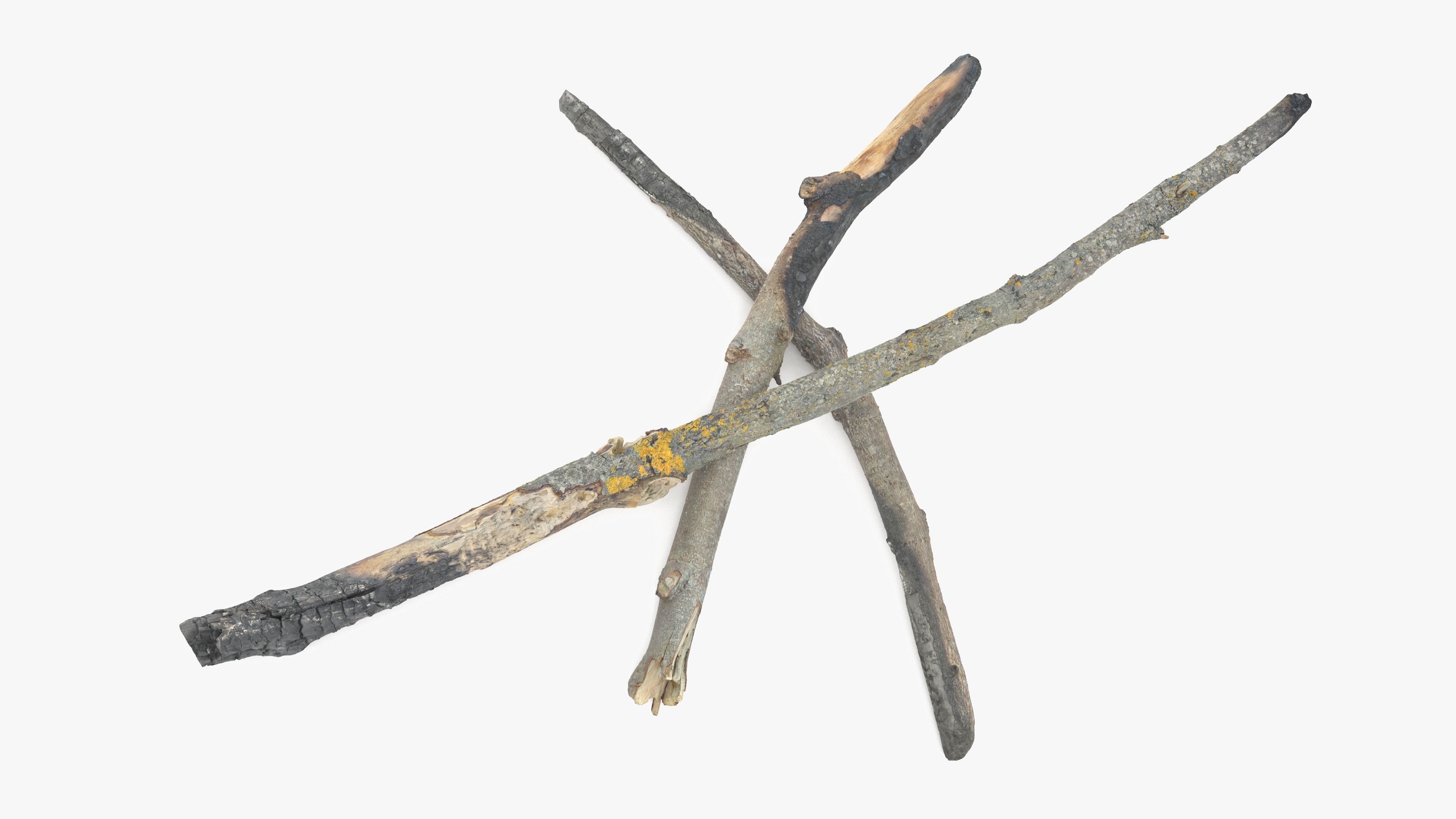 Burned Broken Branches Low-poly 3D model_16