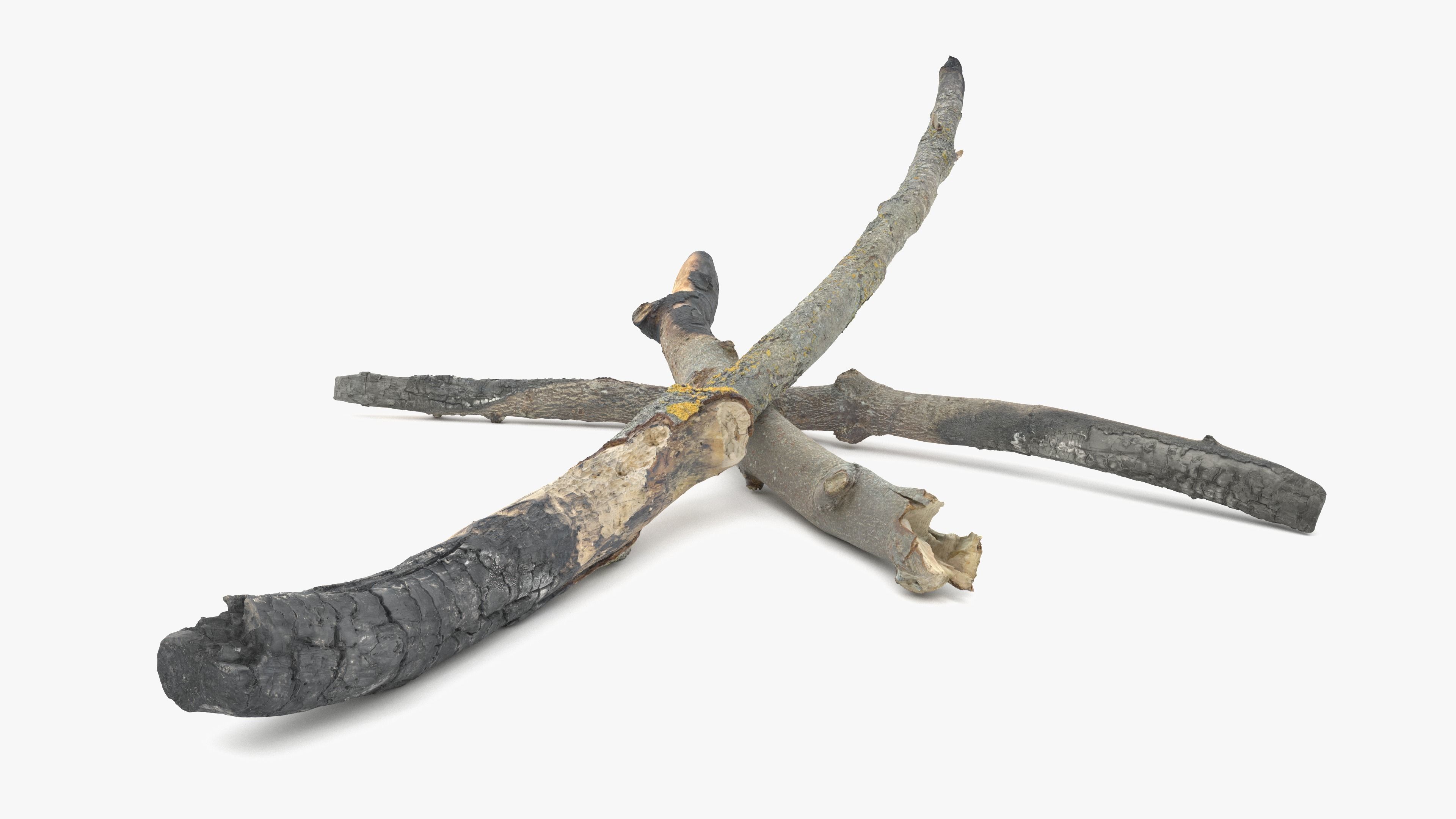 Burned Broken Branches Low-poly 3D model_17